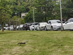 -宁波富邦荪湖山庄(慈城古县城店)