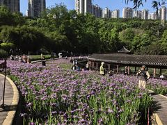 -龙头寺公园