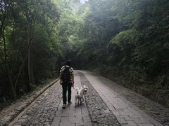 -紫金山天文台