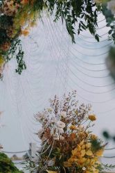 -WOW Wedding婚礼定制