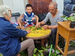 -苏州市吴中区光福窑上花果蜜饯厂