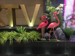 -星聚会KTV(景枫中心店)