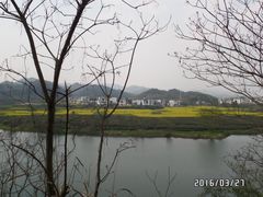 -婺源月亮湾