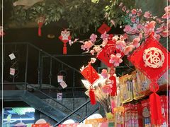-美联众合动物医院(唯恩分院)
