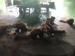 -辛玛王国游乐园