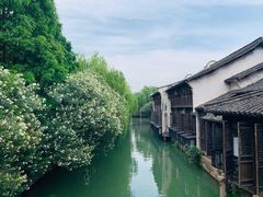 -乌镇西栅景区