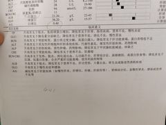 -艾吉宠物医院·疑难杂症转诊中心·猫友好(碧江路院)