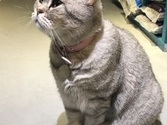-小时光咖啡馆(开森度假森林店)