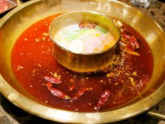 -Xiao Long Kan Hotpot Sydney 小龙坎老火锅