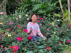 -人民公园(罗湖区)