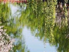 -海棠花溪(元大都城垣遗址公园)