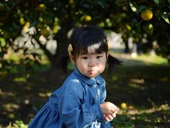-上海滨江森林公园·停车场