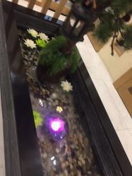 -芳朵美容养生SPA