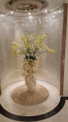 -伊芙世家美颜美养SPA
