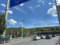 -青藏高原野生动物园