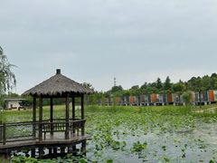-上海怡沁园度假酒店