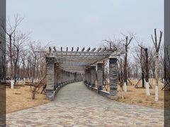 -水西公园
