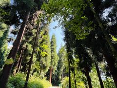 -太阳湾风景区