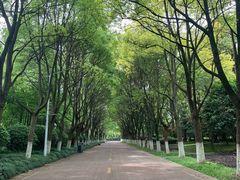 -上海鲜花港