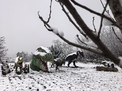 -盛世牡丹苑生态文化旅游区