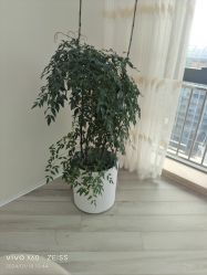 -HEYAN荷妍专业脱毛连锁机构