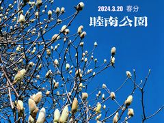 -睦南公园