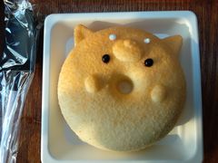 -柴犬高等学院·狗咖·柴犬售卖·宠物训练