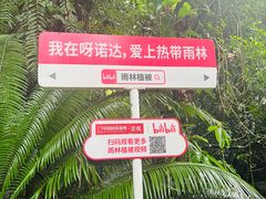 -呀诺达热带雨林