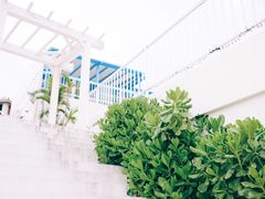-濑长岛