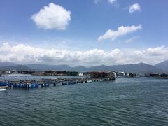 -东山码头