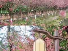 -望江楼公园