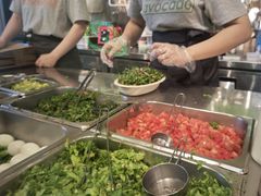 -油梨树AVOCADO TREE(望京店)