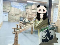 -无锡动物园·太湖欢乐园