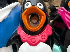 -海合安成都极地海洋公园