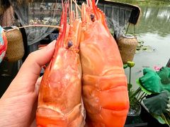 -水岸居湖景农家乐·阳澄湖大闸蟹