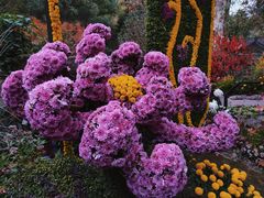 -杭州植物园