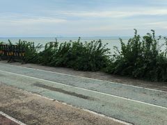 -贡湖湾湿地公园