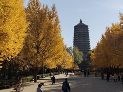 -玲珑塔公园