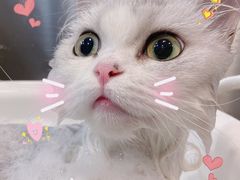 -Oh My Dog宠物沙龙(伊珊娜皮毛护理店)