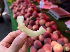 -南坛综合农贸市场