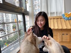 -Husky Go! 哈士奇体验馆·宠物咖啡厅狗咖