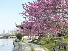 -无锡蠡湖国家湿地公园-蠡园
