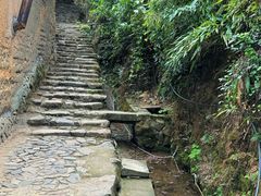 -杨家堂村