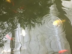 -汤山翠谷生态餐厅