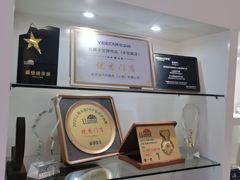 -车艺佳龙膜隐形车衣汽车贴膜(宝山丰宝店)