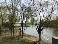 -大兴滨河森林公园