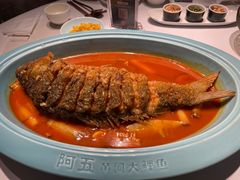 -阿五黄河大鲤鱼(英协路店)