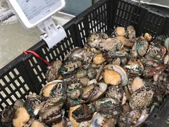 -盒马鲜生(大成店)