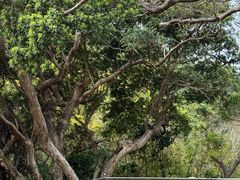 -洞背山庄(洞背院区式管理小区店)