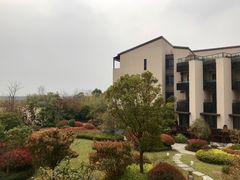 -上海崇明金茂凯悦酒店